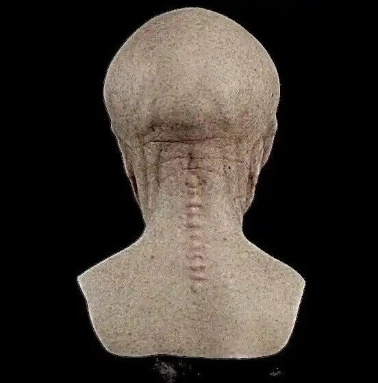 Alien Skull Mask – Ultimate Costume Prop™